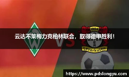 智博19有限公司