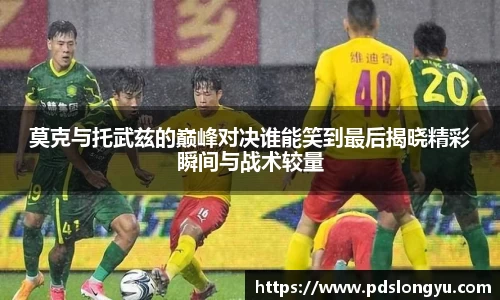 智博19有限公司