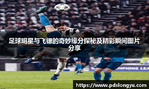 智博19有限公司